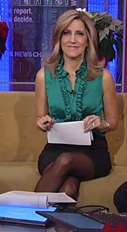 News anchor panty shot